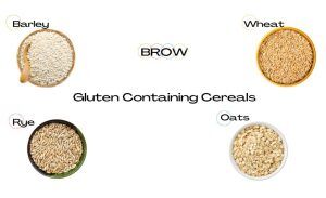 Gluten Containing Grains