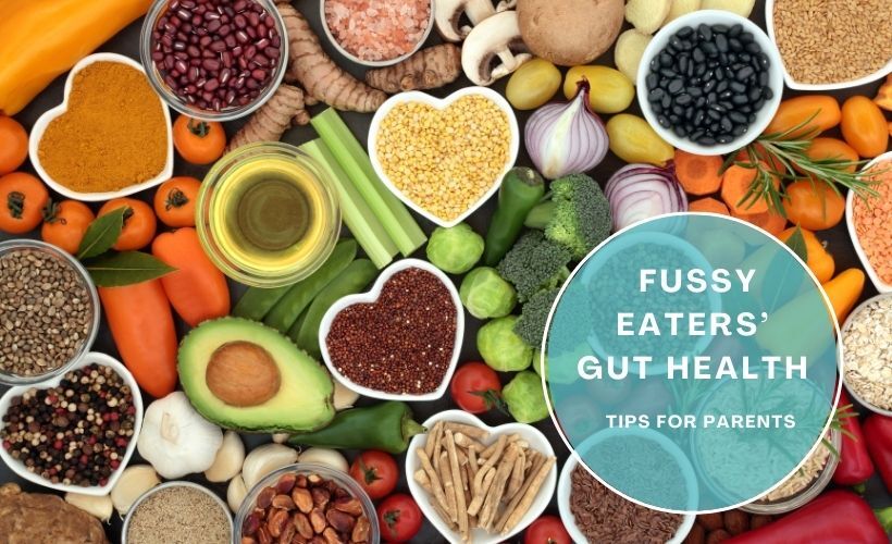 Gut health tips for fussy eaters – parent guide Healthy food choices to support gut health for fussy eaters – tips for parents