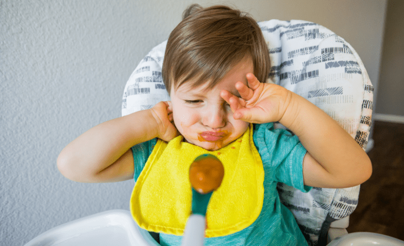 Fussy Eater Recipes