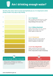 Urine chart