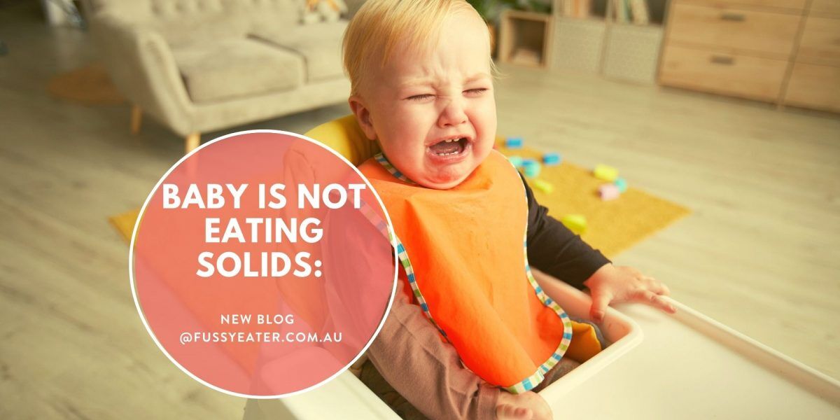 baby is not eating solids - Get help from Fussy Eater Solutions
