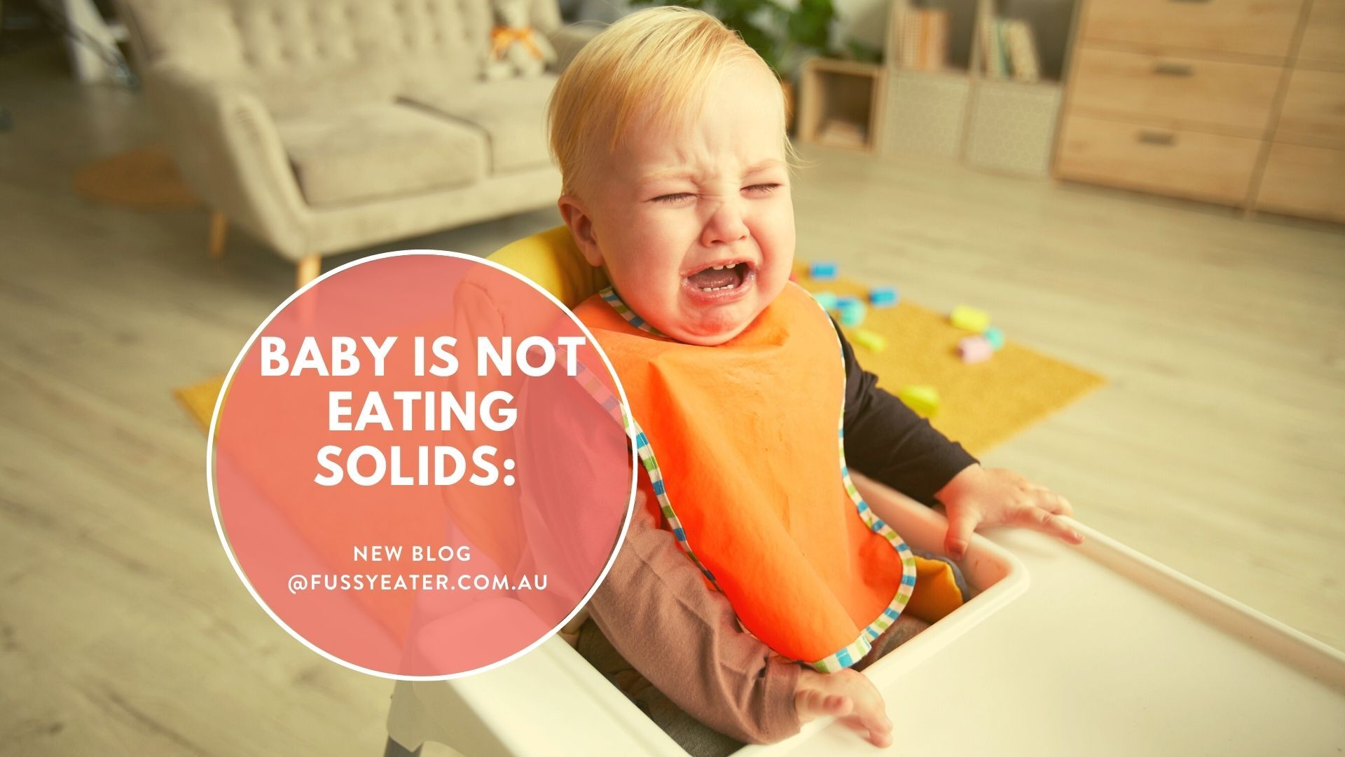 1 baby is not eating solids - Get help from Fussy Eater Solutions