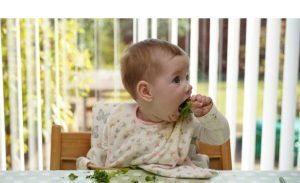 Squishy food BLW